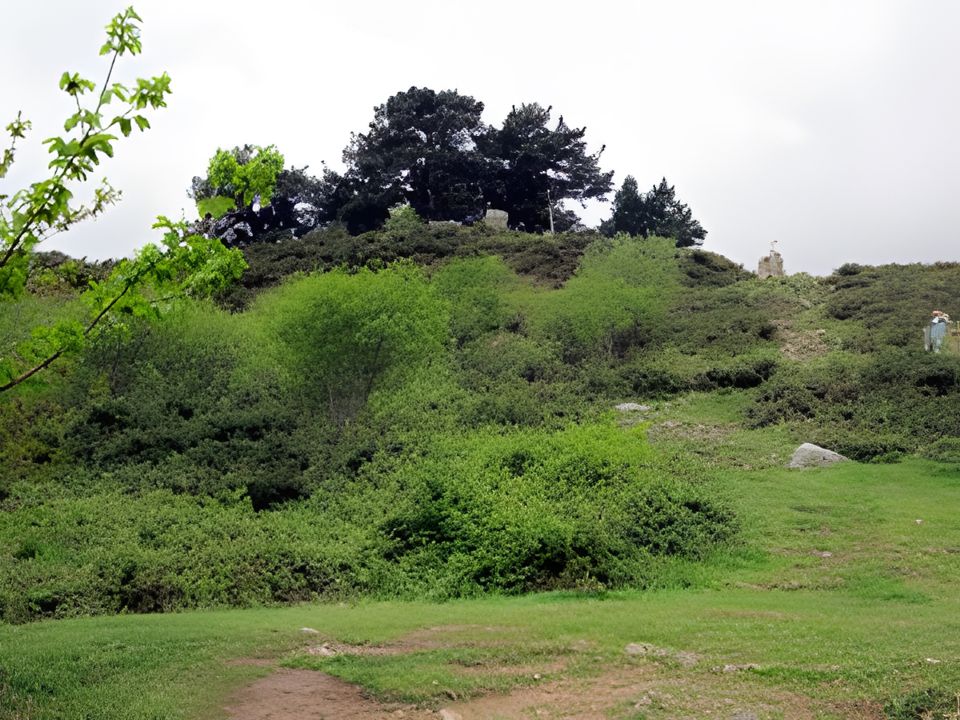 Nine pines on the hill above Garabandal